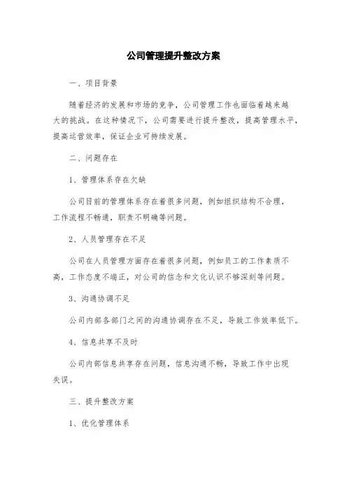 公司管理提升整改方案