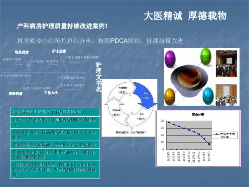 产科护理质量持续改进案例ppt课件