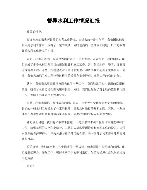 督导水利工作情况汇报