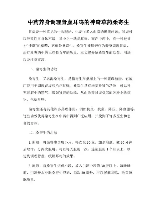 中药养身调理肾虚耳鸣的神奇草药桑寄生