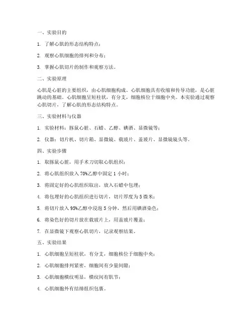 心肌构造观察实验报告