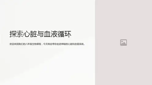 八年级生物心脏与血液循环PPT