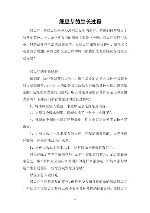 绿豆芽的生长过程