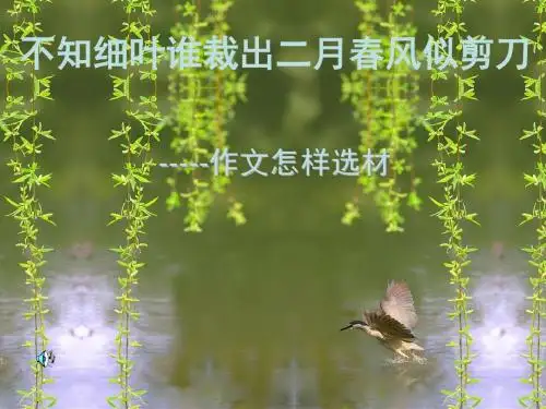 初中作文怎样选材ppt