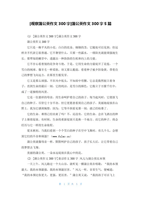 [观察蒲公英作文300字]蒲公英作文300字5篇