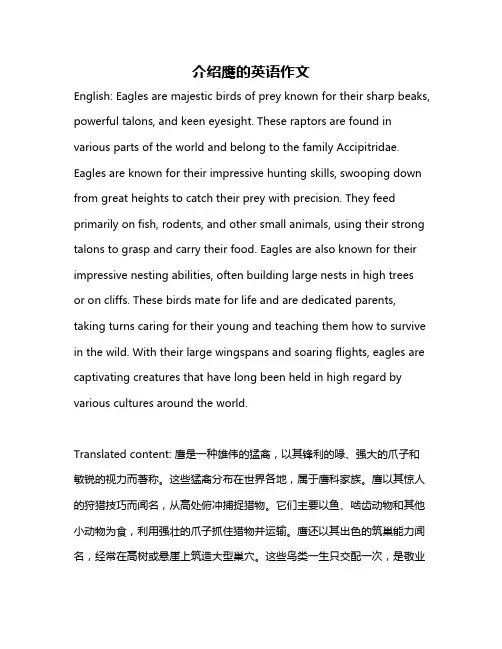 介绍鹰的英语作文