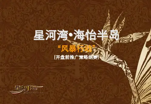 星河湾开盘前推广策略