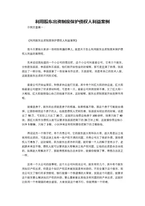 利用股东出资制度保护债权人利益案例