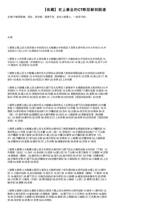 【收藏】史上最全的CT断层解剖图谱