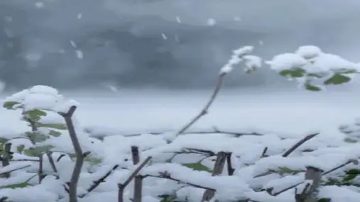 部编版小学语文二年级上册《雪孩子》(课件)