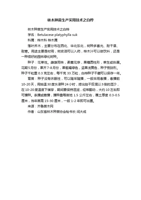 林木种苗生产实用技术之白桦