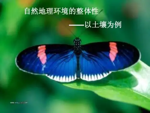 自然地理环境的整体性