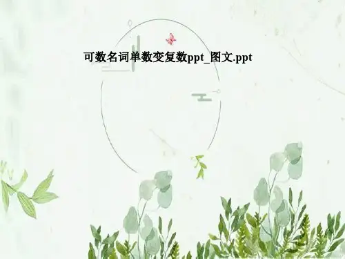 可数名词单数变复数ppt_图文