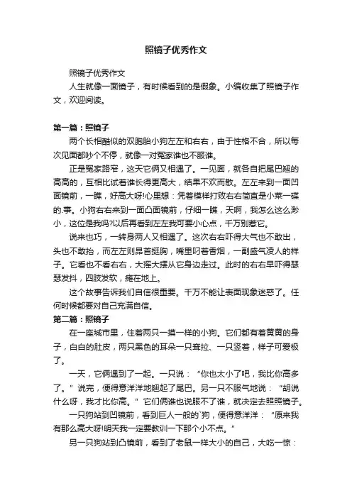 照镜子优秀作文