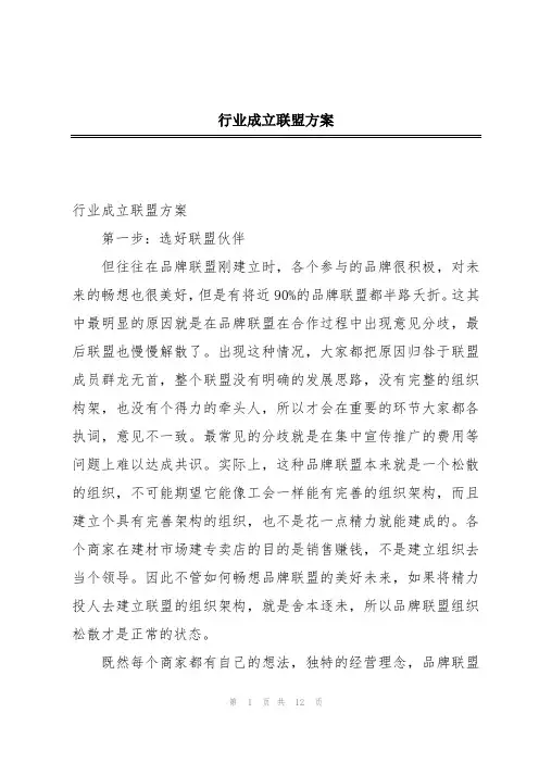 行业成立联盟方案
