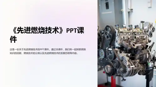《先进燃烧技术》课件
