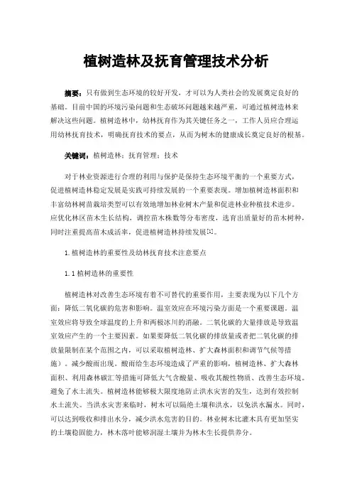 植树造林及抚育管理技术分析