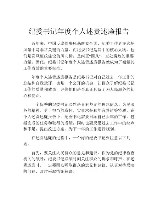 纪委书记年度个人述责述廉报告