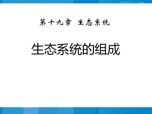 生态系统的组成-PPT全文课件