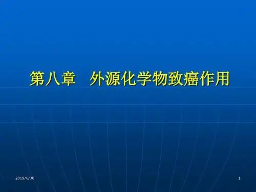 08外源化学物致癌作用