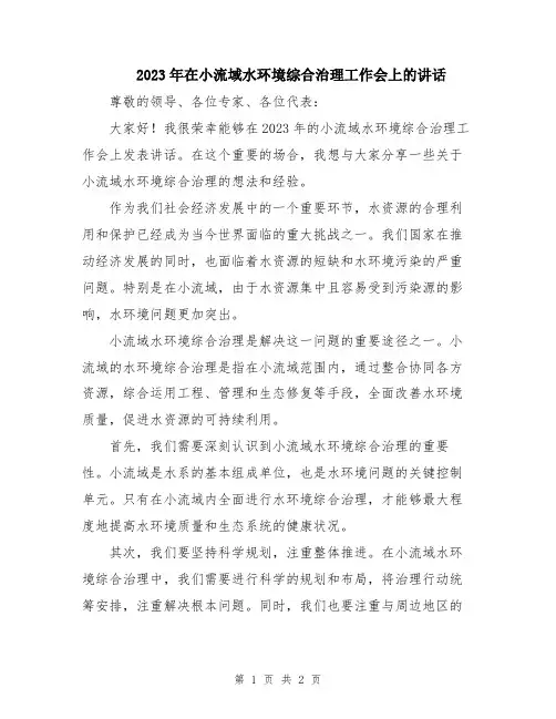 2023年在小流域水环境综合治理工作会上的讲话