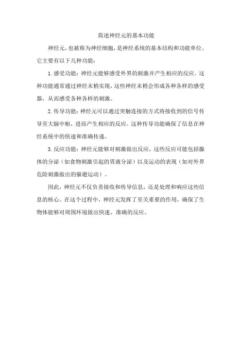 简述神经元的基本功能