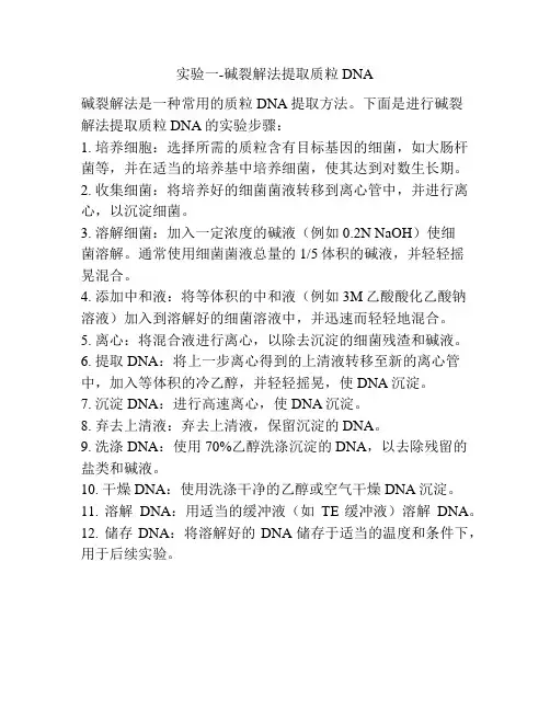 实验一-碱裂解法提取质粒DNA