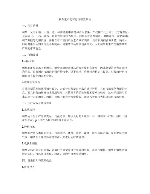 刺梨生产的可行性研究报告