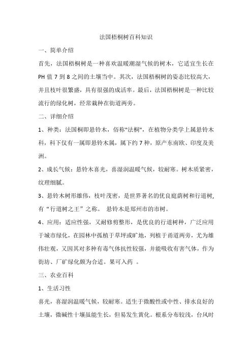 法国梧桐树百科知识