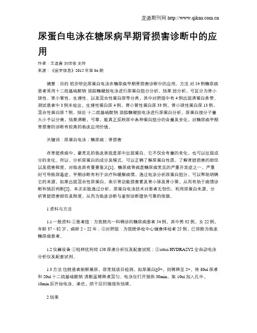 尿蛋白电泳在糖尿病早期肾损害诊断中的应用