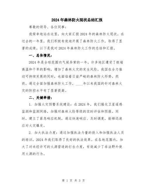 2024年森林防火现状总结汇报