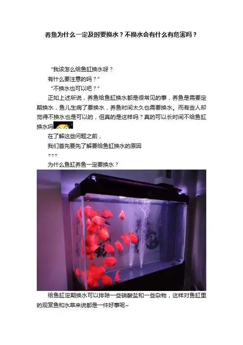 养鱼为什么一定及时要换水？不换水会有什么有危害吗？