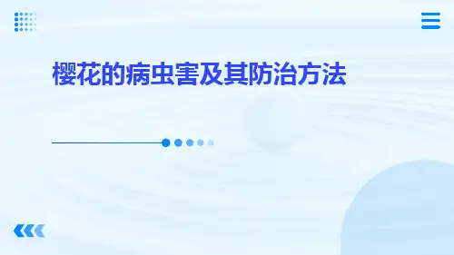 樱花的病虫害及其防治方法