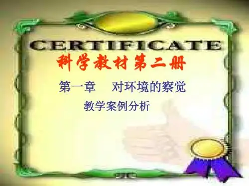 光的反射和折射复习--浙教版