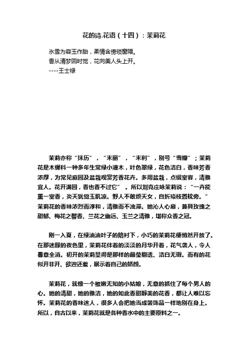 花的诗.花语（十四）：茉莉花