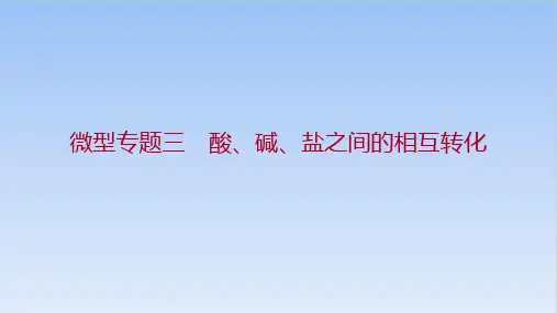 备战云南中考化学一轮复习微型酸、碱、盐之间的相互转化PPT精品课件