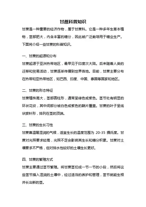 甘蔗科普知识