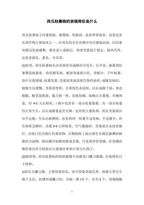 西瓜枯萎病的表现特征是什么