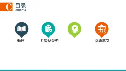 脑动脉侧支循环
