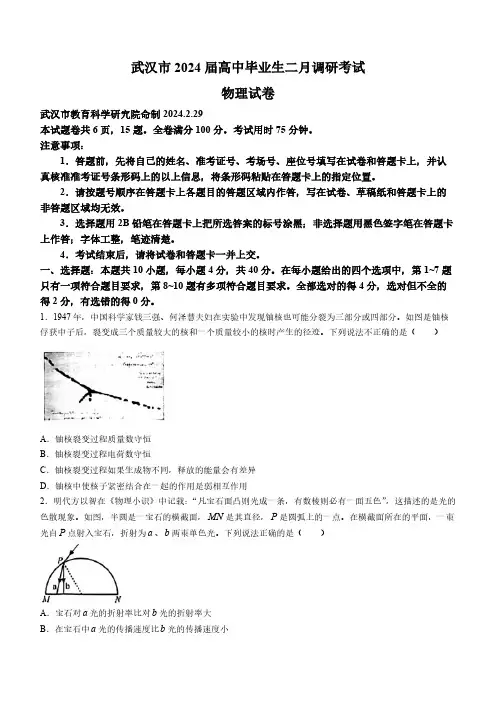 2024届湖北省武汉市高三下学期二月调研物理试题及答案