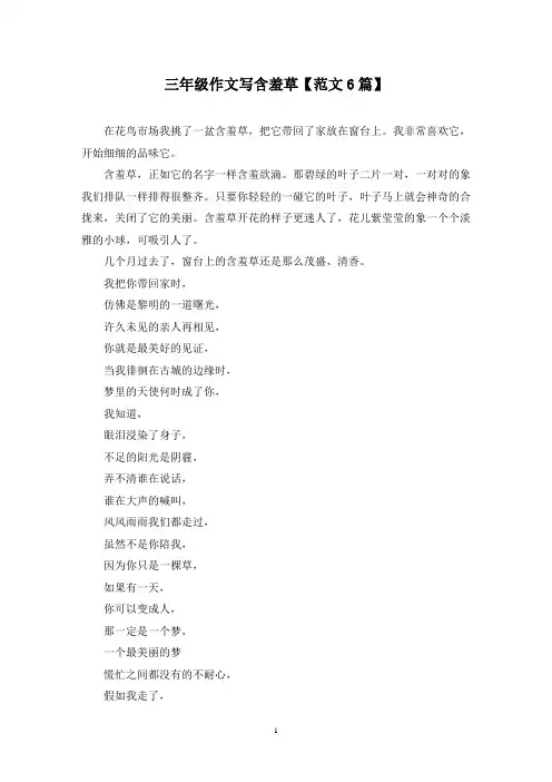 精选三年级作文写含羞草【范文6篇】