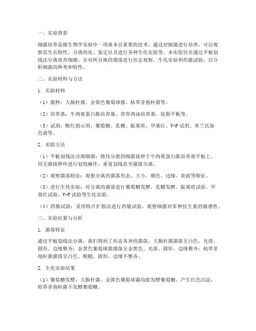 细菌培养实验报告分析