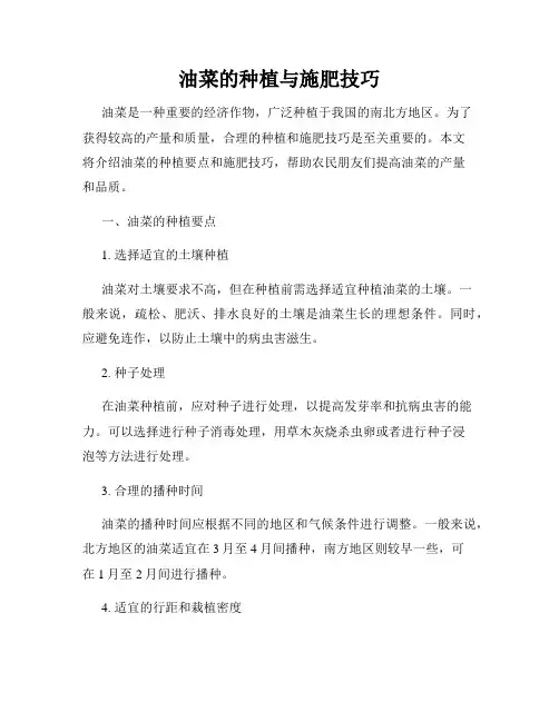 油菜的种植与施肥技巧