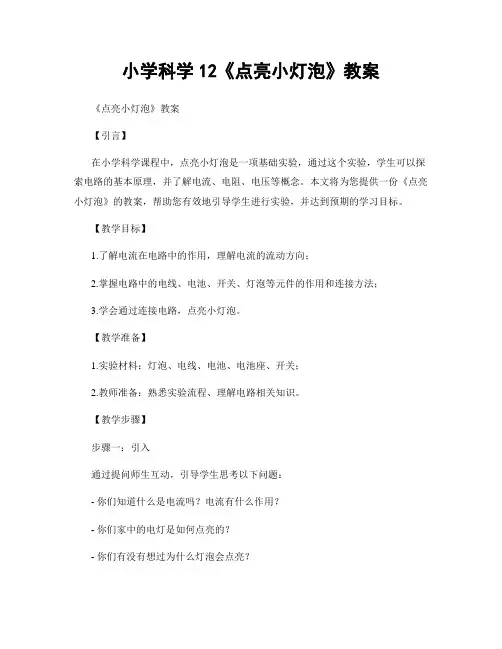 小学科学12《点亮小灯泡》教案