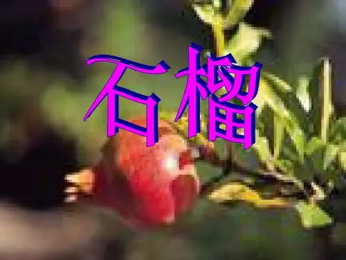 《石榴》PPT精品教学课件2