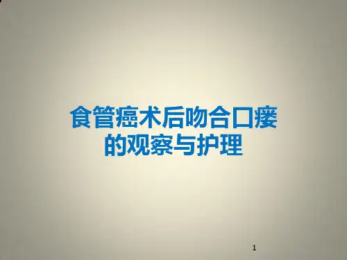 食管癌术后吻合口瘘护理PPT课件
