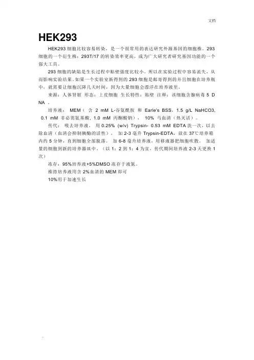 HEK293细胞系