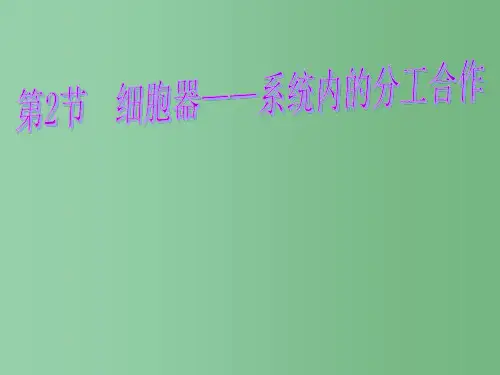 高中生物 第3章 细胞的基本结构 第2节 细胞器-系统内的分工合作课件 新人教版必修1