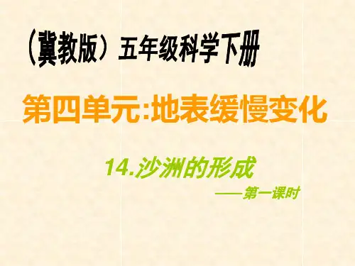 (五下)科学PPT课件4 沙洲的形成冀教版 (24张)