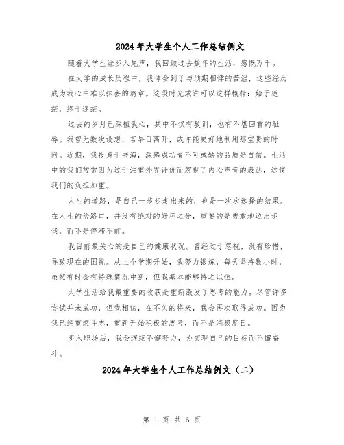 2024年大学生个人工作总结例文（四篇）